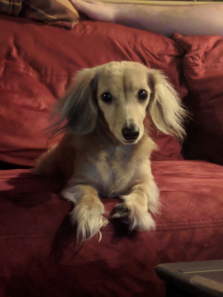 Ellie