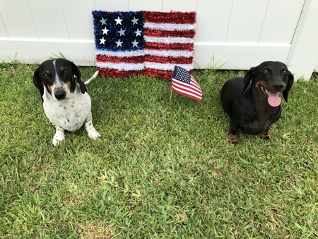 Patches & Max 