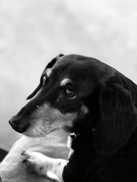 Ellie Mae