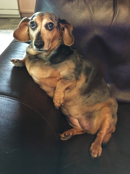 Zoey