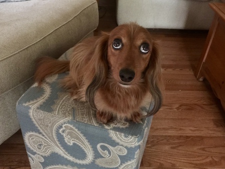 Benito