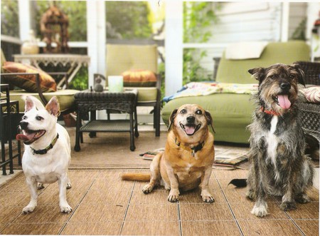 Morgan, Jake & Gus