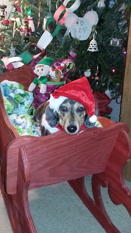 Zoe