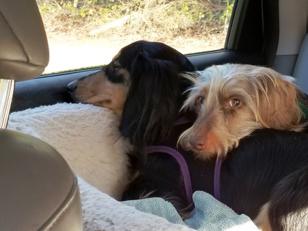 Kiri and Mickie