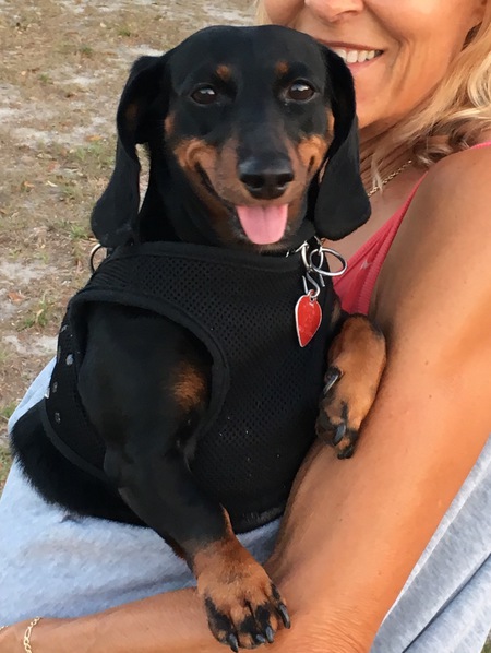 Bella