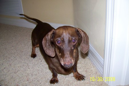 Peanut