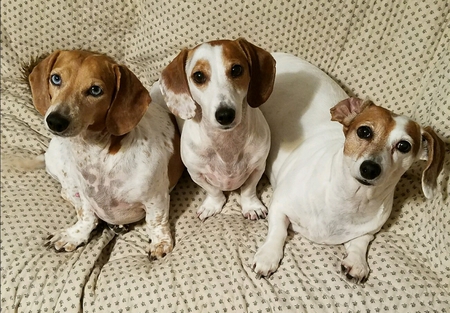 Sunshine, Macy & Miles