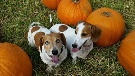 Miles and Macy