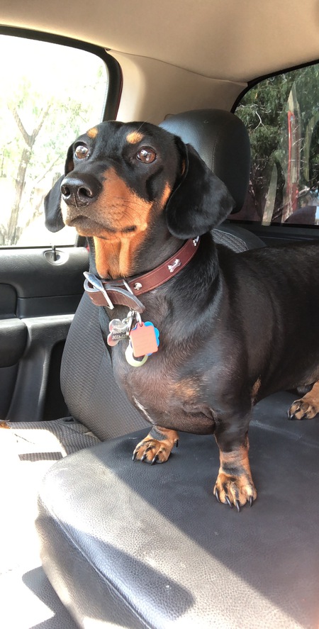 Buster