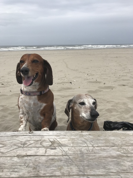 Frank and Emily