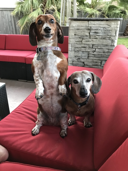 Frank and Emily