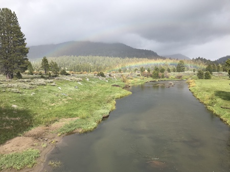 West Fork Carson Rainbow