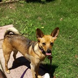 Entry image for Harper Rubio