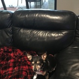 Entry image for Kiki