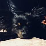 Entry image for Kaylee