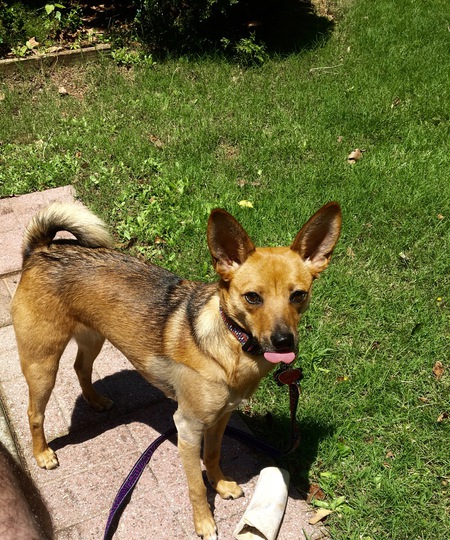 Entry image for Harper Rubio. Clicking this image will show a larger photo