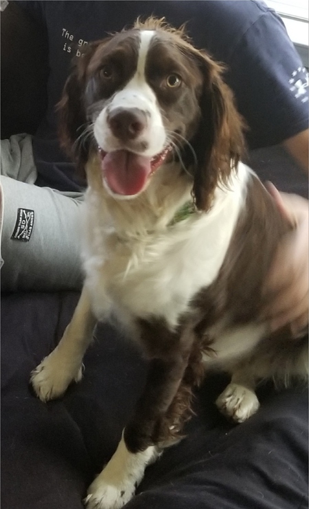 Entry image for Wally, US Navy. Clicking this image will show a larger photo