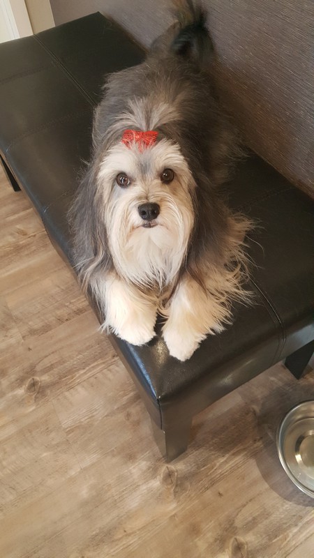 Entry image for Tia. Clicking this image will show a larger photo