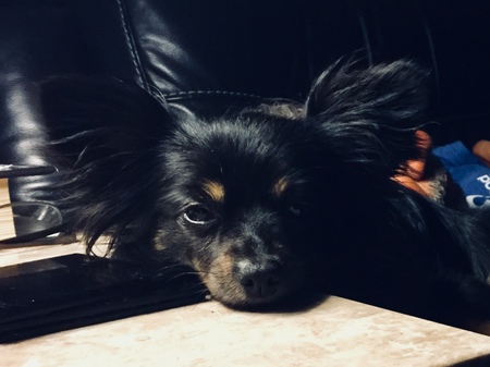 Entry image for Kaylee. Clicking this image will show a larger photo