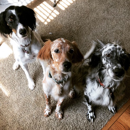 Gertie, Perry and Mel Latzke