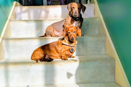 Lindy and Oscar