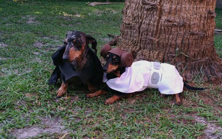 Jedi Weiners: Luke & Leia