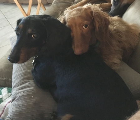 Gretchen & Ruby