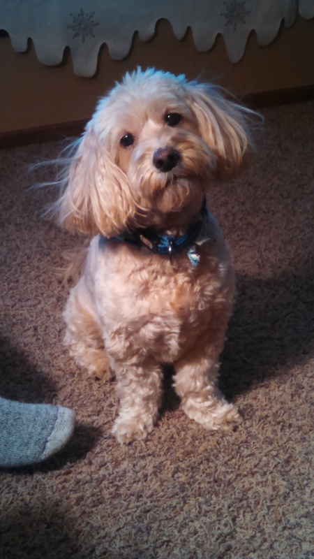 Scooby