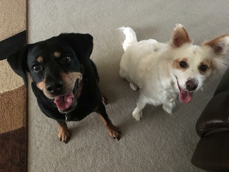 Mazy and Shelby