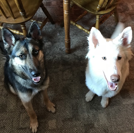 Luna & Max