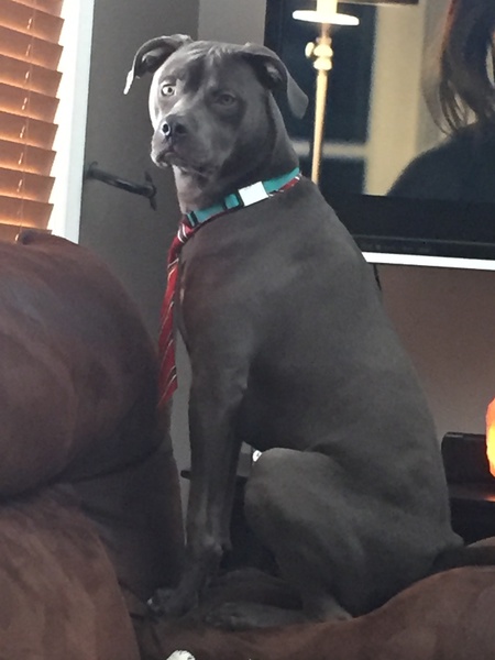 Max