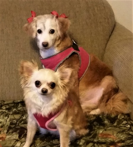 Sadie Jo & Dori