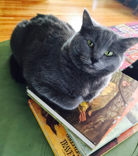 Gertrude