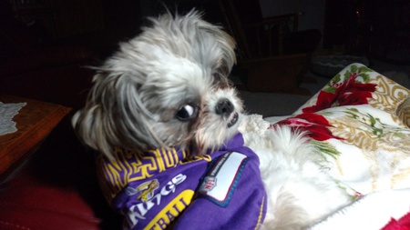 Riley