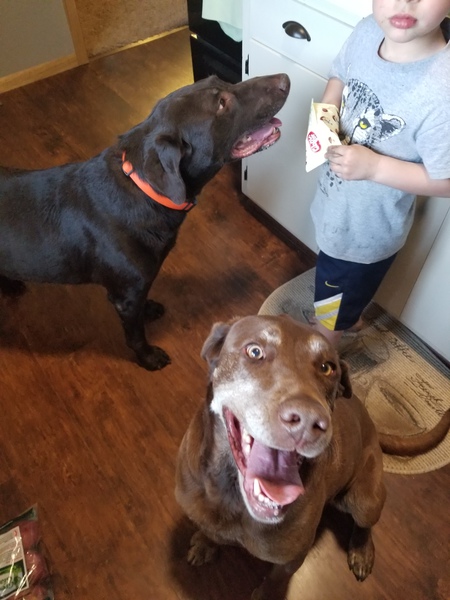 Duke and Bella