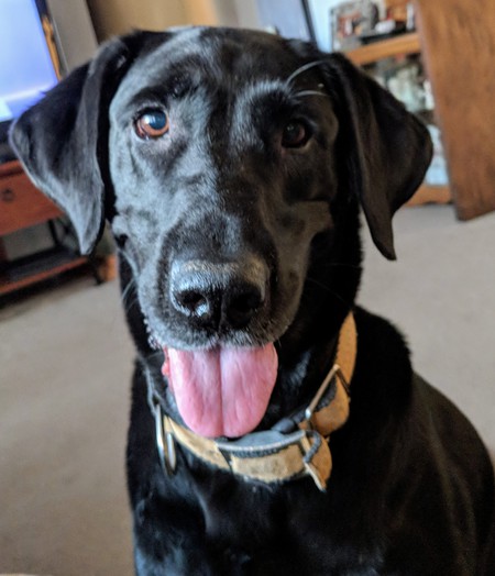 Zoe