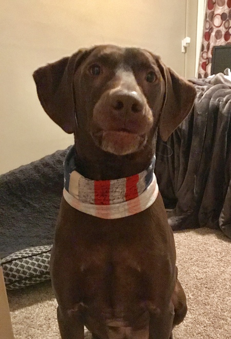 Scooby