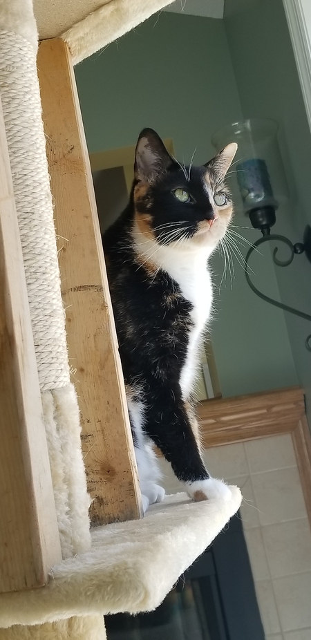 Chloe