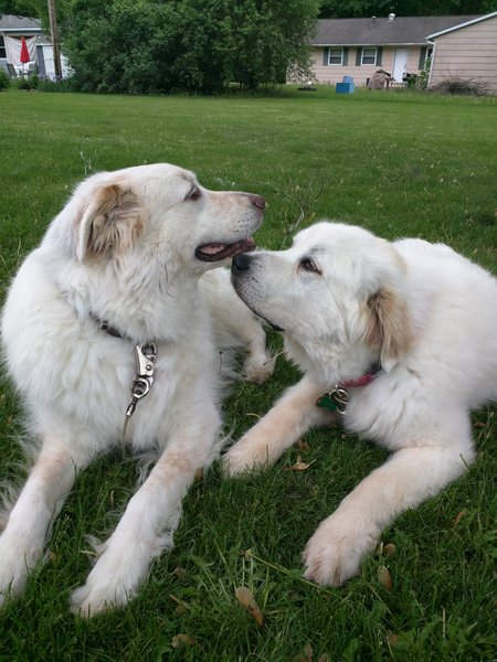 Chilly and Lily