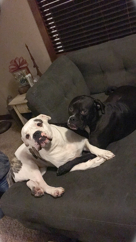 Beau and Titus