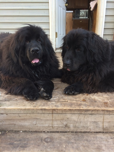Major and Castle