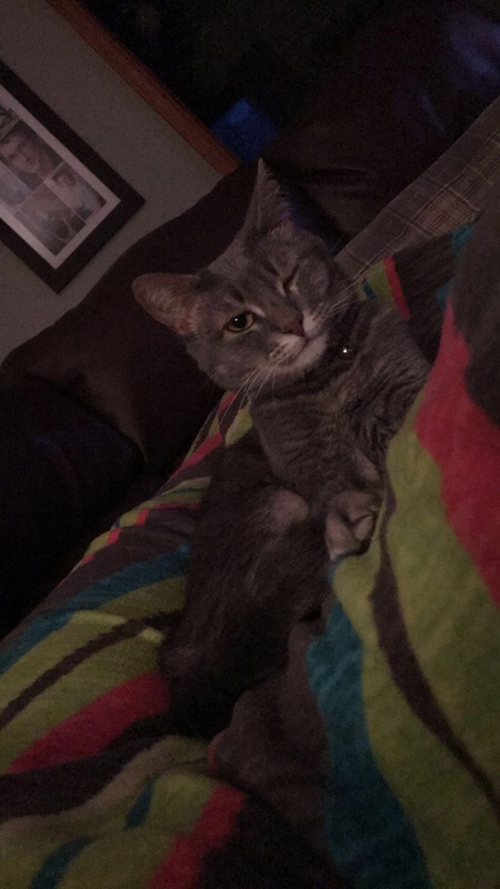 Tinkerbelle