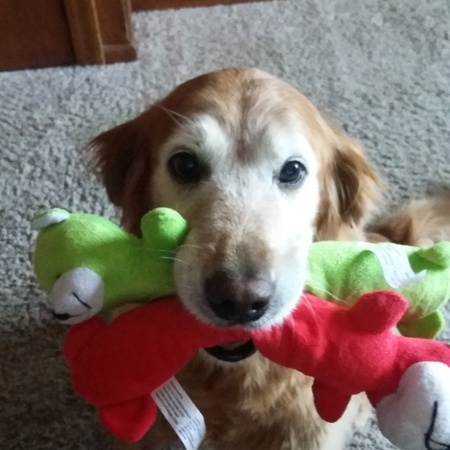 Abby
