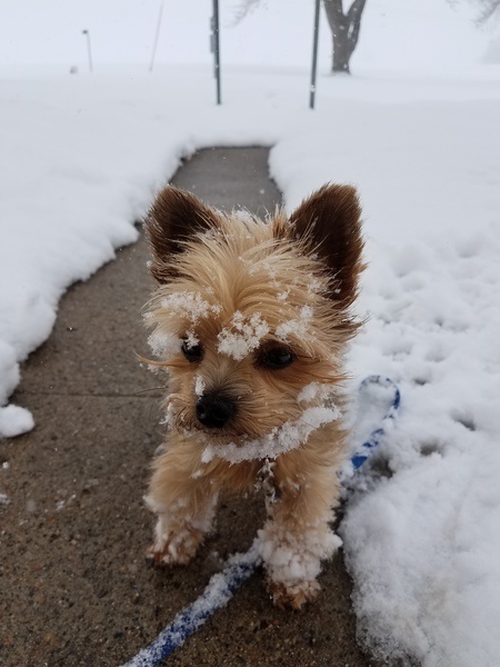 Lucy