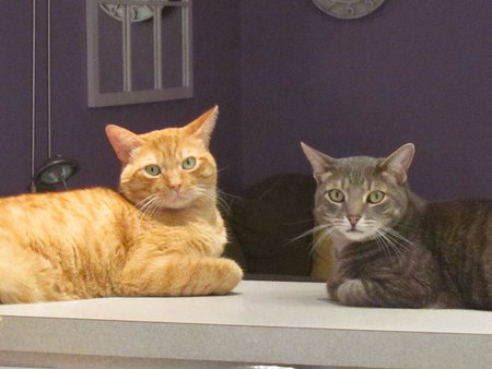 Jack & Gus