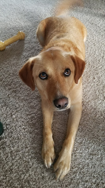 Rudy