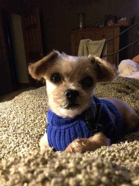 Doug