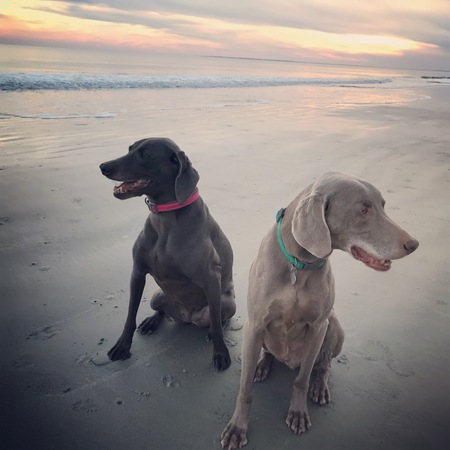 Nola & Murphy