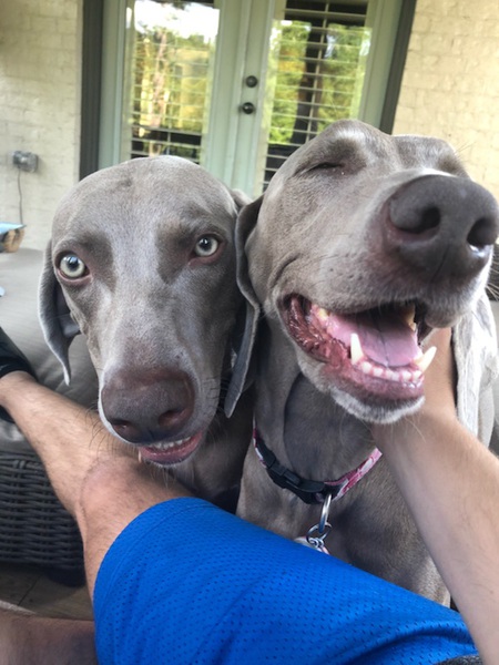 Zeus and Scarlett