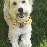 Entry image for Bella